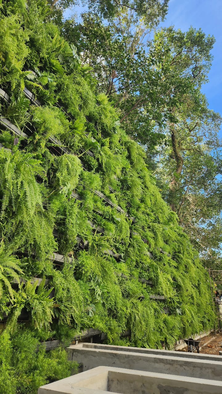 Jardim Vertical com Ferns