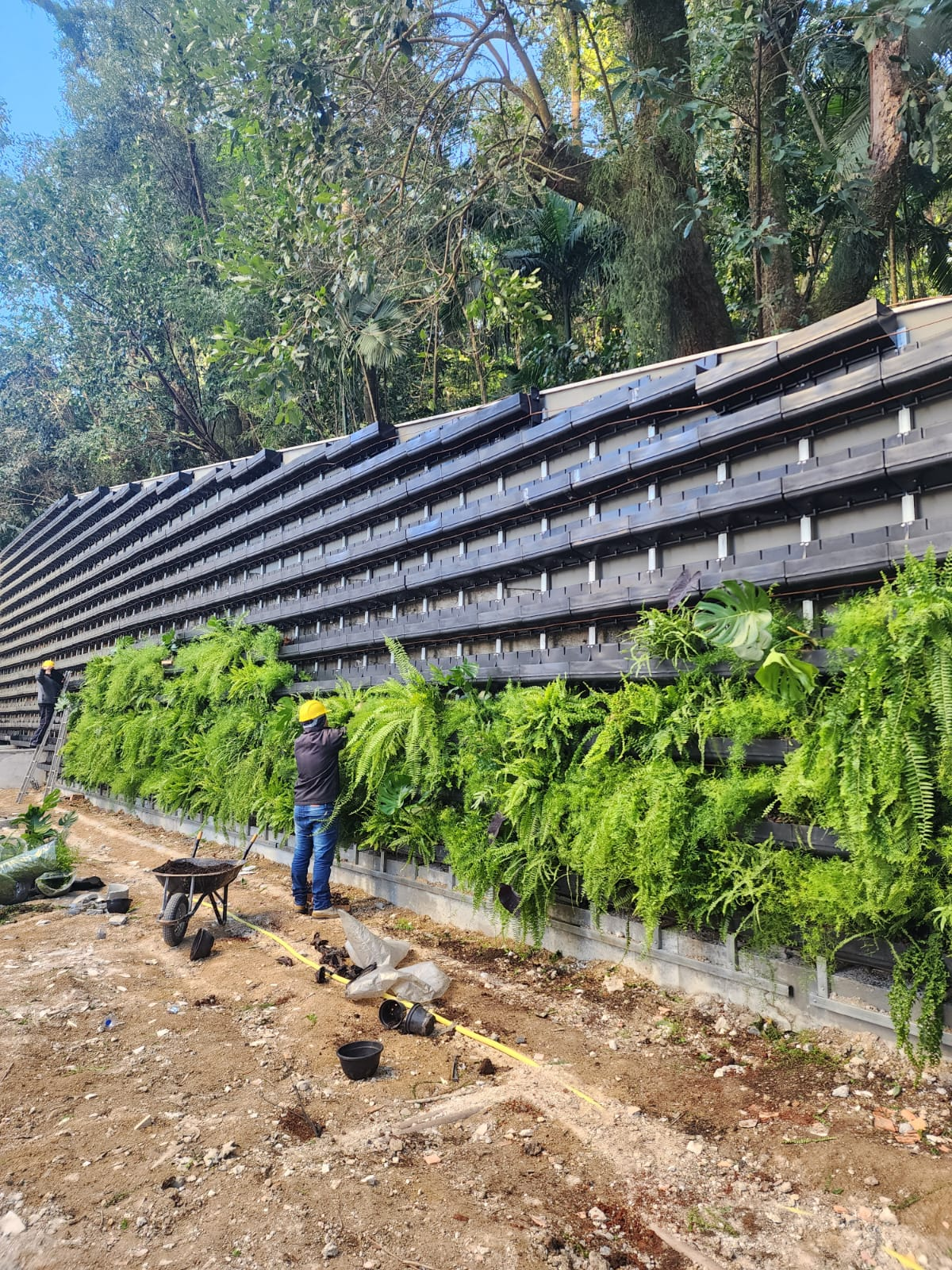 Construcao de Estrutura